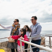 Los Cristianos: Eco-Yate Tour de avistamiento de ballenas con baño