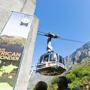 Le Cap : Montagne de la Table, pingouins et Pointe du Cap - Circuit partagé