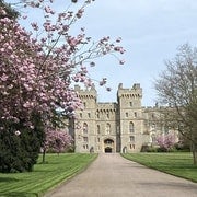 Desde Londres: Excursión de medio día a Windsor con entradas al Castillo