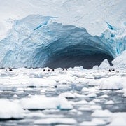 PENGUINS WORLD : ANTARCTICA PHOTO EXHIBITION