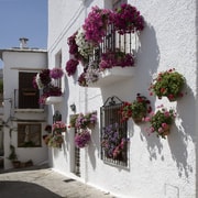 Desde Granada: Excursão às aldeias de montanha de Alpujarra