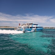 From Perth or Fremantle: Rottnest Island Ferry and Bus Tour