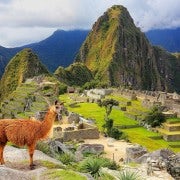 Machu Picchu: Official Entry Ticket for Circuit 1 or 2