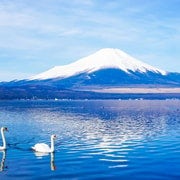 Mt.Fuji:Lake Kawaguchi,Yamanaka & Onsen Day Tour From Tokyo