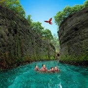 Playa del Carmen: Xcaret Plus, Lunch, Show, and Transfers