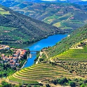 Porto: Tour della Valle del Douro con 2 cantine, pranzo e crociera