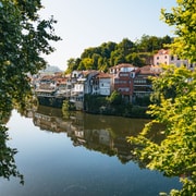 Vallée du Douro : Visite des vignobles avec déjeuner, dégustations et croisière fluviale