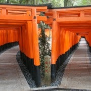 Kioto: Tour en autobús de un día por los mejores lugares históricos y de la UNESCO