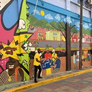 Tour guiado por la ciudad de Kingston - Clásico