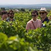 De Avignon: excursão matinal de vinho a Châteauneuf du Pape