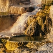 Jackson: 2-tägige Yellowstone National Park Tour mit Mittagessen