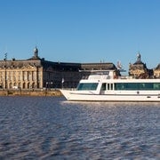 Burdeos: Crucero fluvial guiado