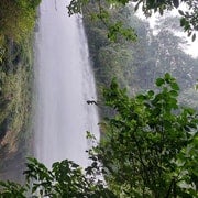 From Palenque: Misol-Ha and Agua Azul Waterfalls Tour