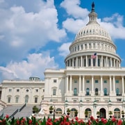 From NYC: Guided Day Trip to Washington DC by Van or Bus