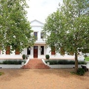 Desde Ciudad del Cabo: Excursión de un día completo a los Cuatro Viñedos de Stellenbosch