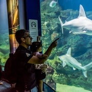 Valencia: entrada al Oceanogràfic