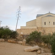 Da Amman: Tour di un giorno sul Mar Morto, Madaba e il Monte Nebo