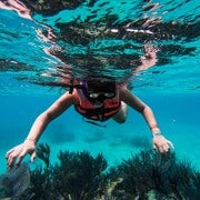 Tulum: 2 horas de mergulho com snorkel em dois pontos do recife de Tulum