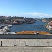 Depuis Lisbonne : Visite privée de Porto