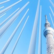 Tokio: Entrada a la Cubierta SkyTree Tembo con opciones de Galería