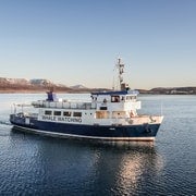 Reykjavík: Crociera per avvistare le balene e la fauna marina