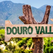 Depuis Porto : Vallée du Douro avec tour en bateau, dégustation de vin et déjeuner