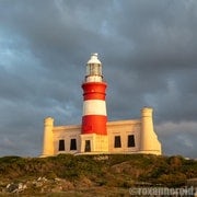 Excursão ao Cabo das Agulhas: Viagem particular de 1 dia!