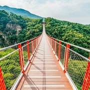 Seoul: DMZ, 3rd Tunnel and Optional Suspension Bridge Tour