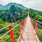 Seoul: DMZ, 3rd Tunnel and Optional Suspension Bridge Tour