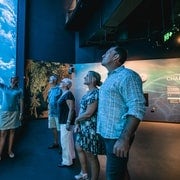 Cairns : Visite guidée de l'aquarium nocturne