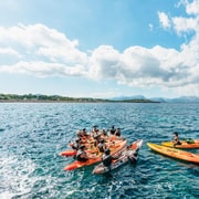 Mallorca: Kajakfahren, Meereshöhle, Klippenspringen & Schnorchel Tour