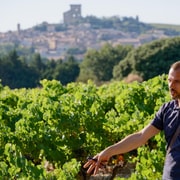 Ab Avignon: Nachmittags-Weintour Châteauneuf du Pape