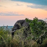 2días Parque Nacional de Kruger