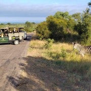 Parque Nacional Kruger medio día